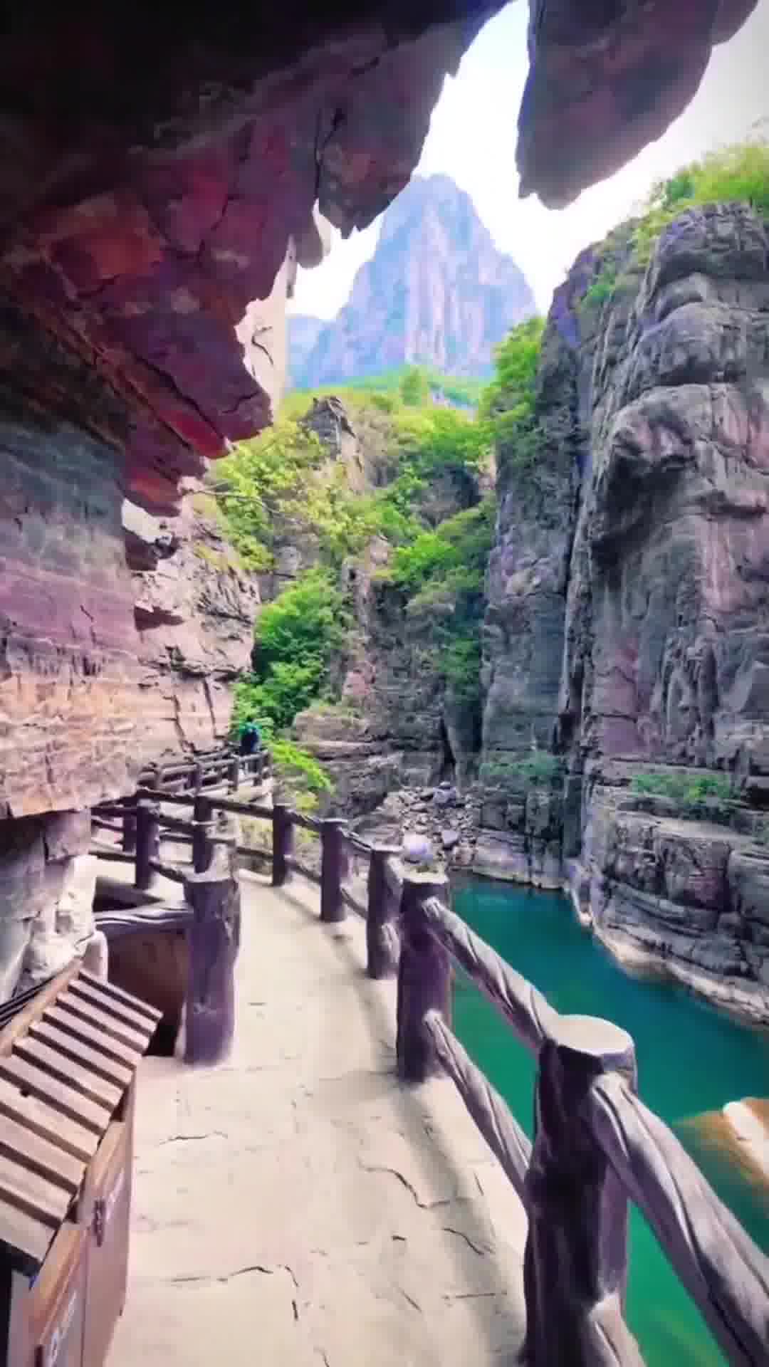 河南精彩活动，致敬嘉宾，与观众共襄盛举