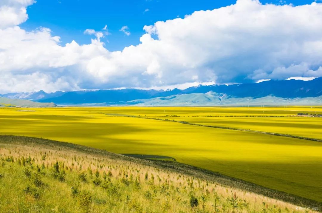 青海探索之旅,详细步骤指南,适合初学者与进阶用户