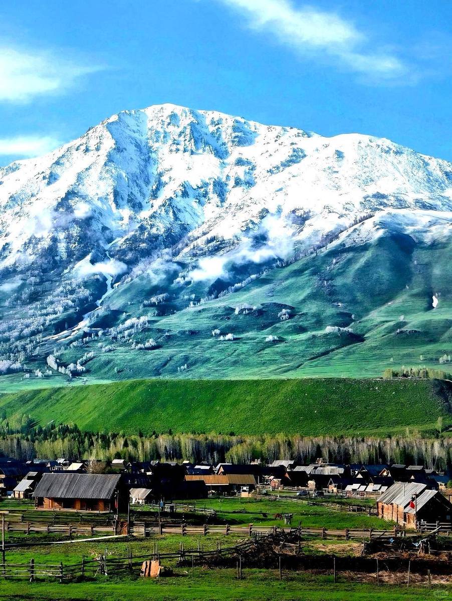 新疆智造领航,科技生活新纪元