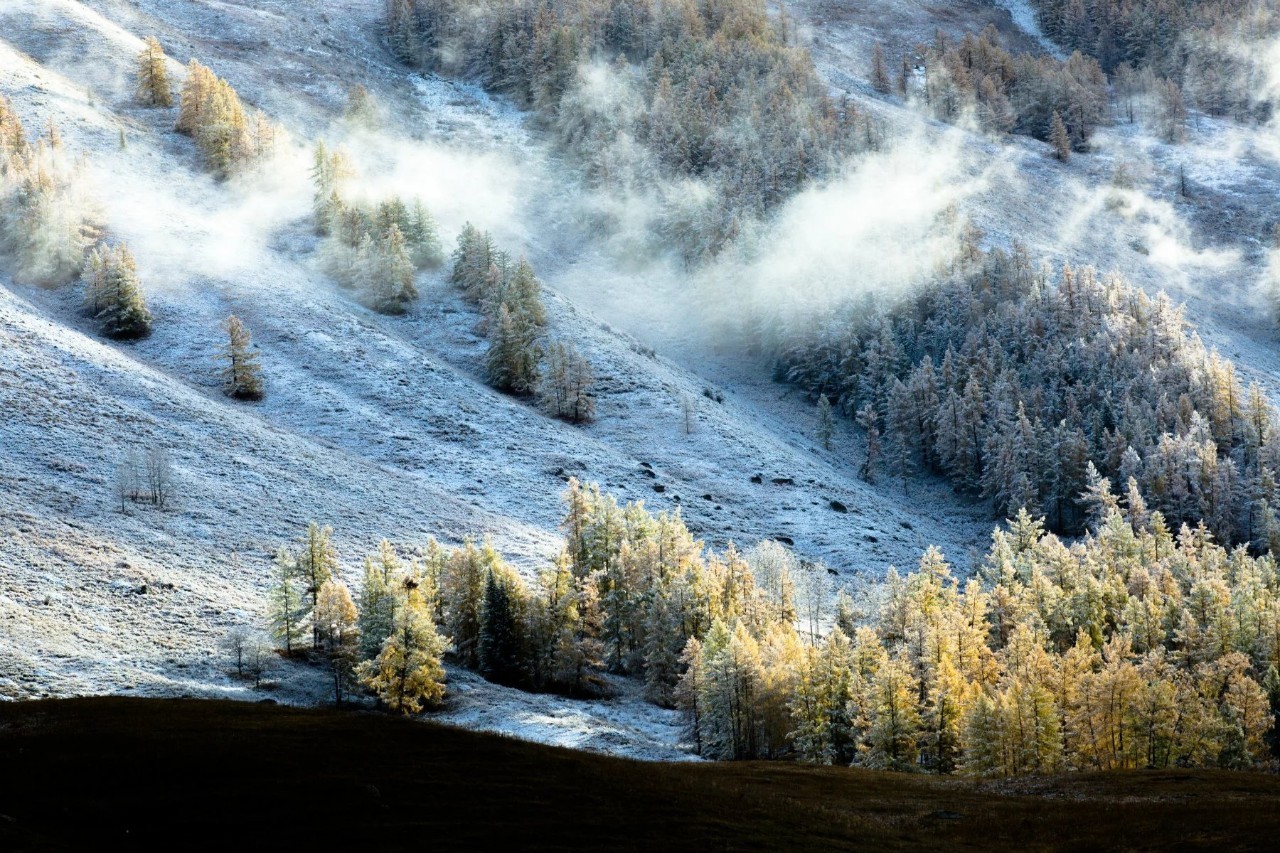 新疆智造领航,科技生活新纪元