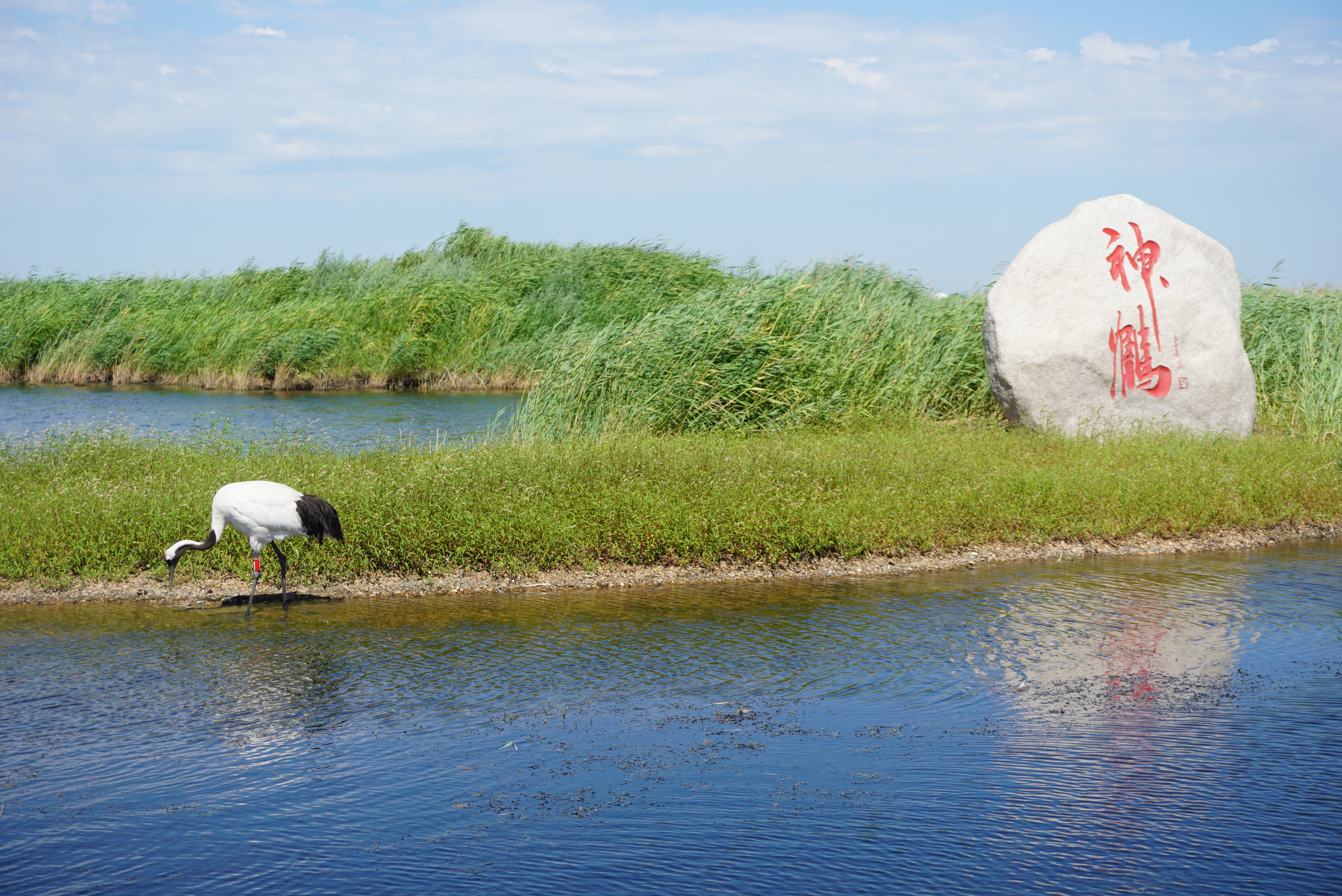 运城新科技,开启智慧生活新篇章